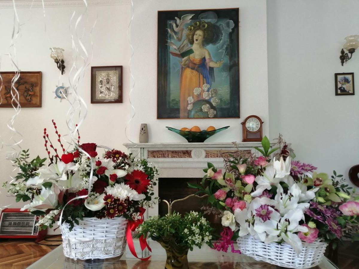 Villa D'Amore Montenegro ドンジ・モリンジ エクステリア 写真