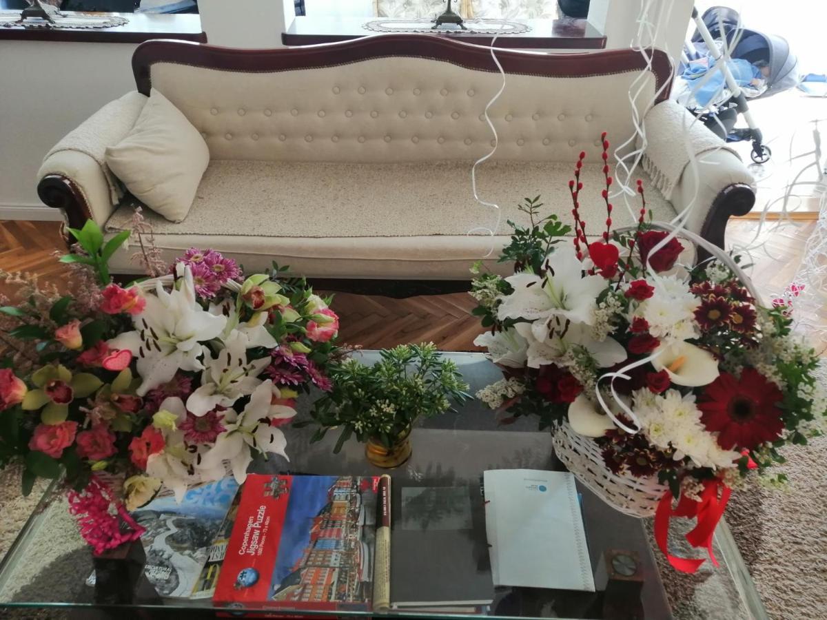 Villa D'Amore Montenegro ドンジ・モリンジ エクステリア 写真